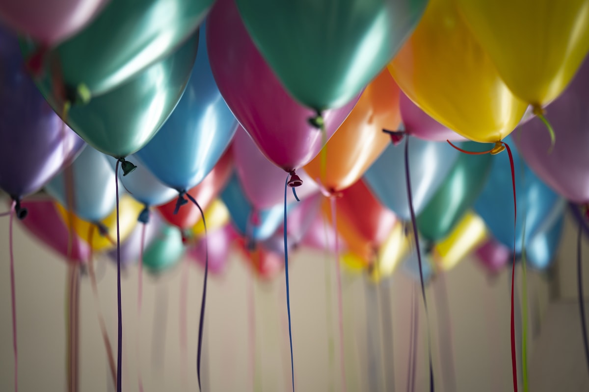 Bouncy Bash Parties photo 4